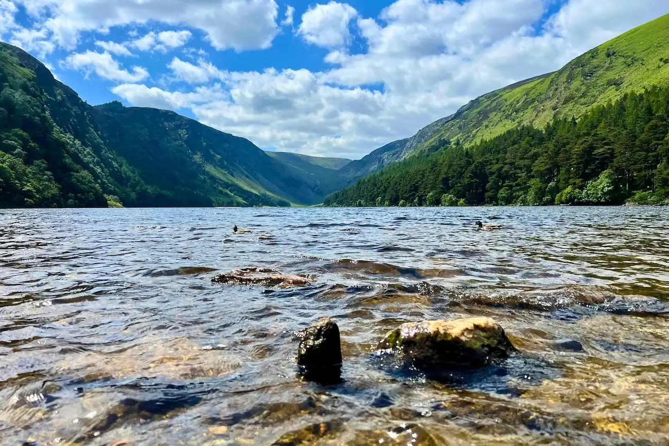 Goditi i mozzafiato paesaggi panoramici mentre guidi attraverso le Wicklow Mountains. Vasta valle ondulata nelle Wicklow Mountains coperta di bassi arbusti verdi ed erica viola sotto un cielo luminoso.