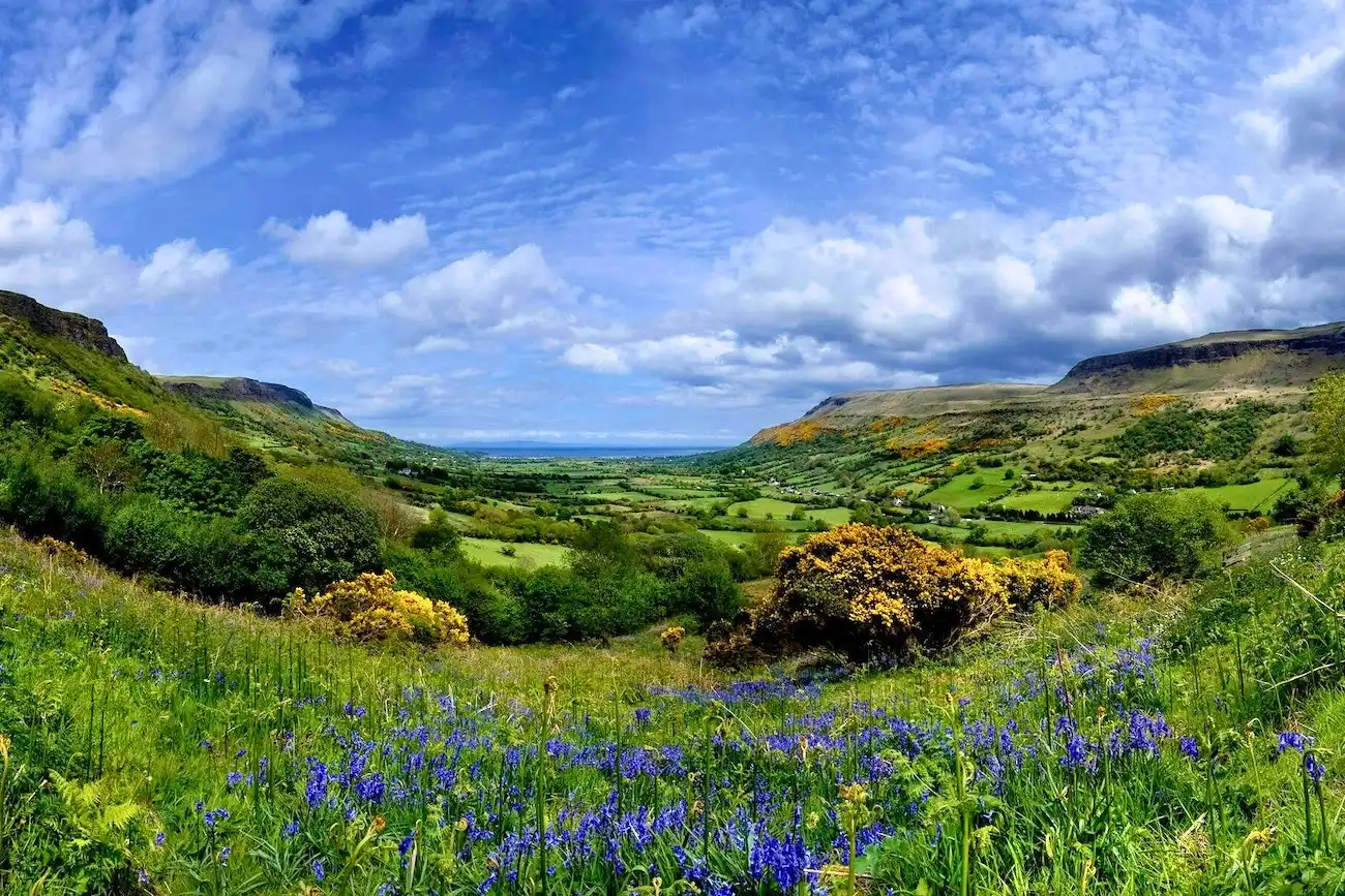 A lush, green valley filled with bluebells leading towards the ocean in Northern Ireland.