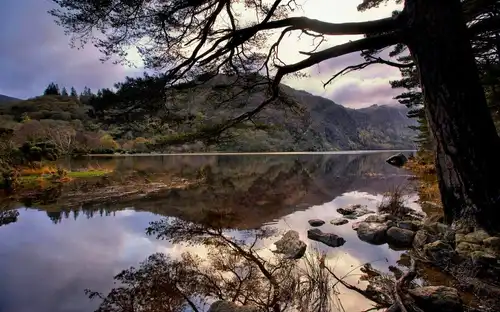 Scenic view of a serene lake reflecting green mountains and dramatic clouds under a framed tree branch in Glendalough.