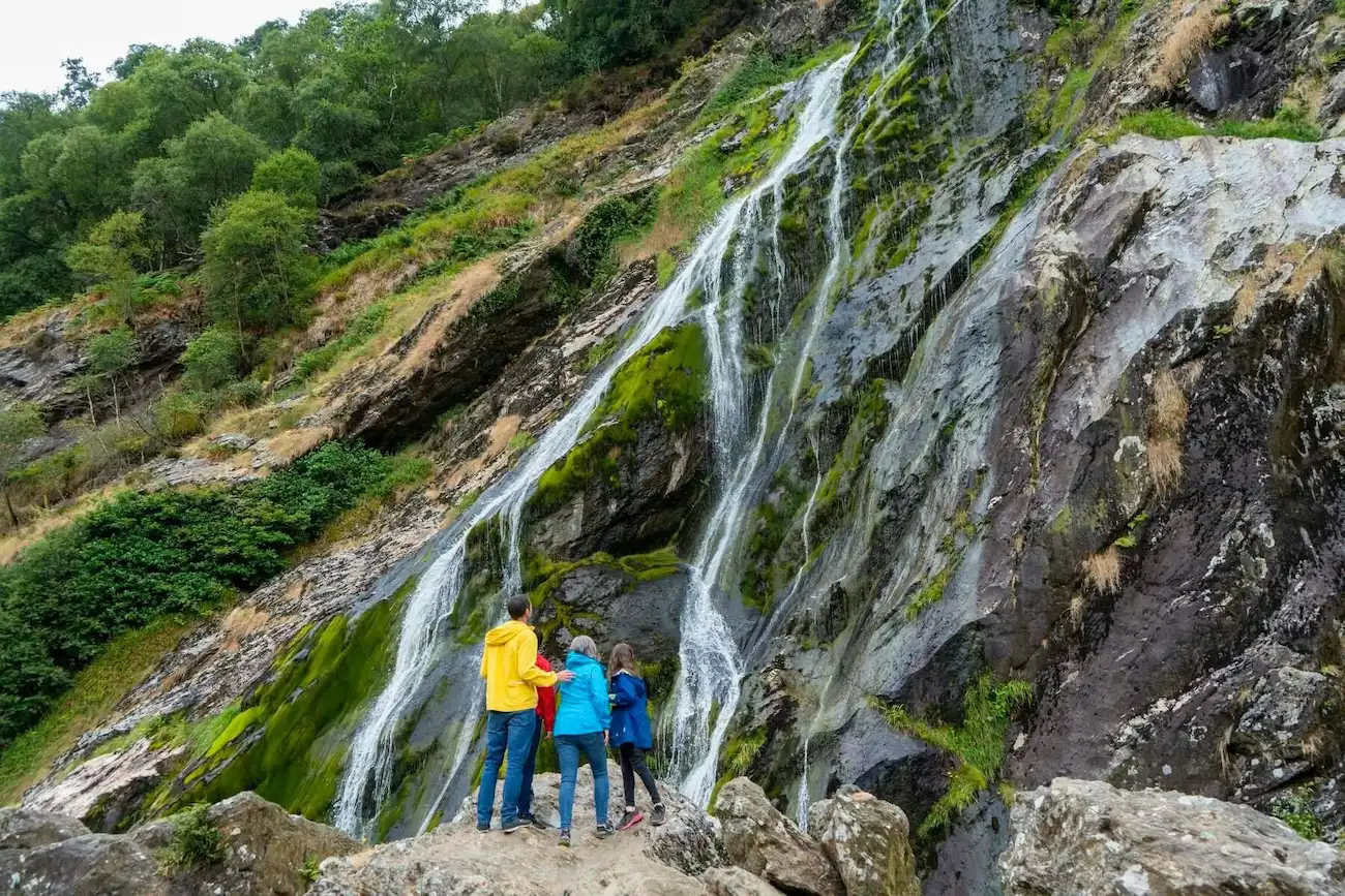 Fermati sotto la cascata di Powerscourt, la più alta d'Irlanda, e contempla la bellezza naturale. Una drammatica cascata che cade lungo un'alta parete rocciosa con muschio, circondata da alberi con alcuni visitatori che guardano da una distanza di sicurezza.
