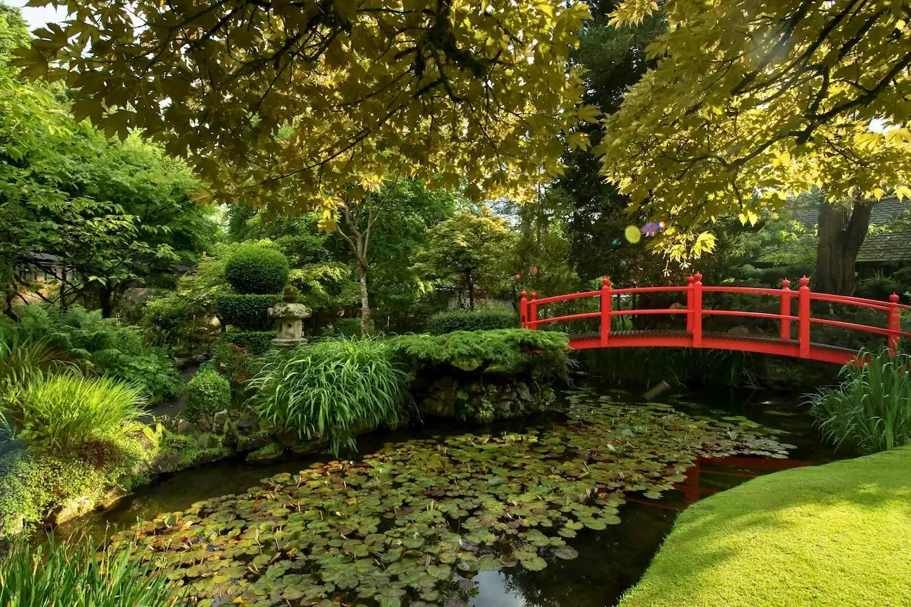 A vibrant red bridge arching over a tranquil pond in the lush Japanese Gardens of Kildare.